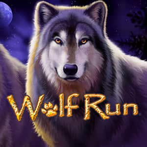 wolf run game free download